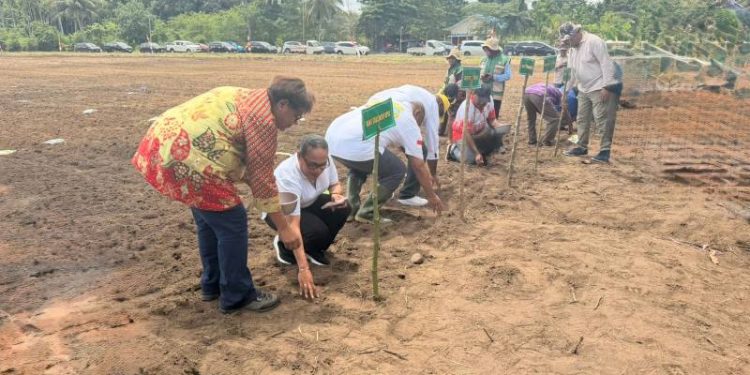 Langkah Nyata Papua Menuju Swasembada: Lahan Tidur Muara Tami Disulap Jadi Kebun Jagung Raksasa