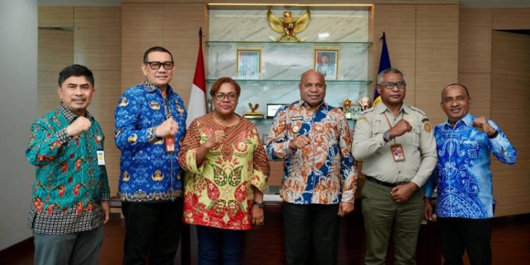 Lompatan Besar Papua Menuju Swasembada: Targetkan 30.000 Hektare Cetak Sawah Baru di 2026