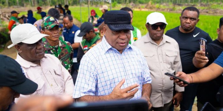 Targetkan 50 Ribu Hektare Sawah, Gubernur Papua Dorong Keerom Jadi Lumbung Pangan Nasional
