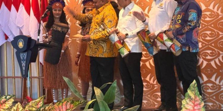 Kadin Indonesia dan Pemprov Papua Perkuat Kolaborasi Ekonomi: Fokus pada Investasi dan Pemberdayaan Lokal