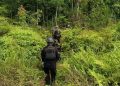 Detik-detik KKB Serang Rantis Polisi di Yahukimo: Tembakan Balasan Meluncur, Pelaku Lari ke Hutan