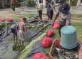 Hangatnya Kebersamaan di “Kolam Merah Putih”: Polsek Bonggo Rayakan Panen Perdana Lele