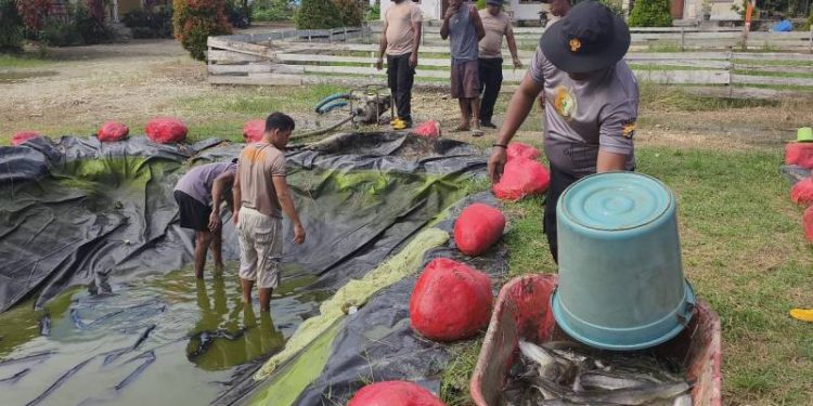 Hangatnya Kebersamaan di “Kolam Merah Putih”: Polsek Bonggo Rayakan Panen Perdana Lele